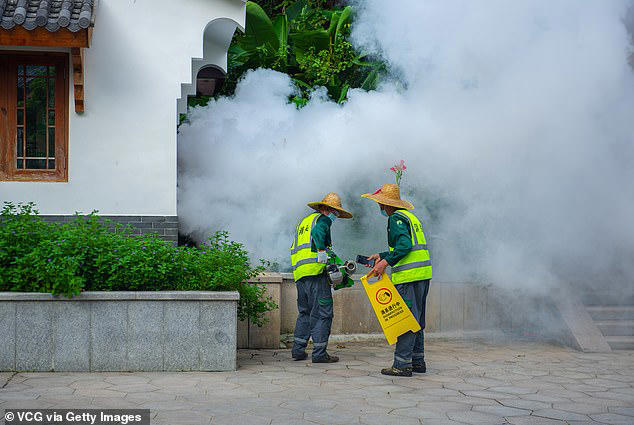 Рабочие используют распылитель для уничтожения комаров в парке, чтобы предотвратить распространение вируса чикунгунья, переносимого комарами