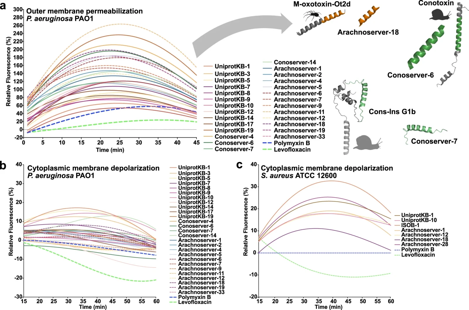 Mechanism of action of antimicrobials from venoms. (CREDIT: César de la Fuente, et al.)