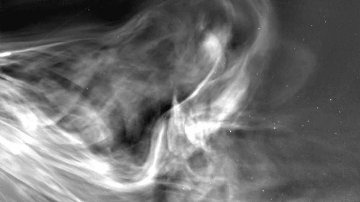 NASA Releases Closest Ever Images Of The Sun Snapped As Probe Travels NASA Releases Closest Ever Images Of The Sun Snapped As Probe Travels