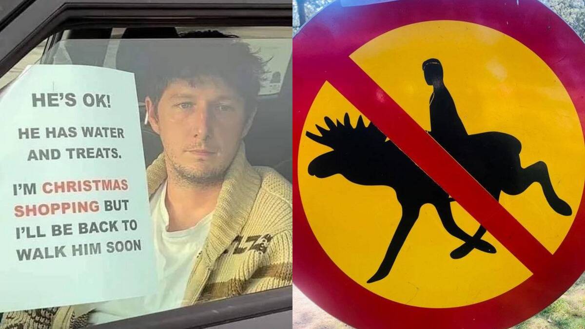Funny Public Signs That Tell Us Things We Never Thought We'd Hear
