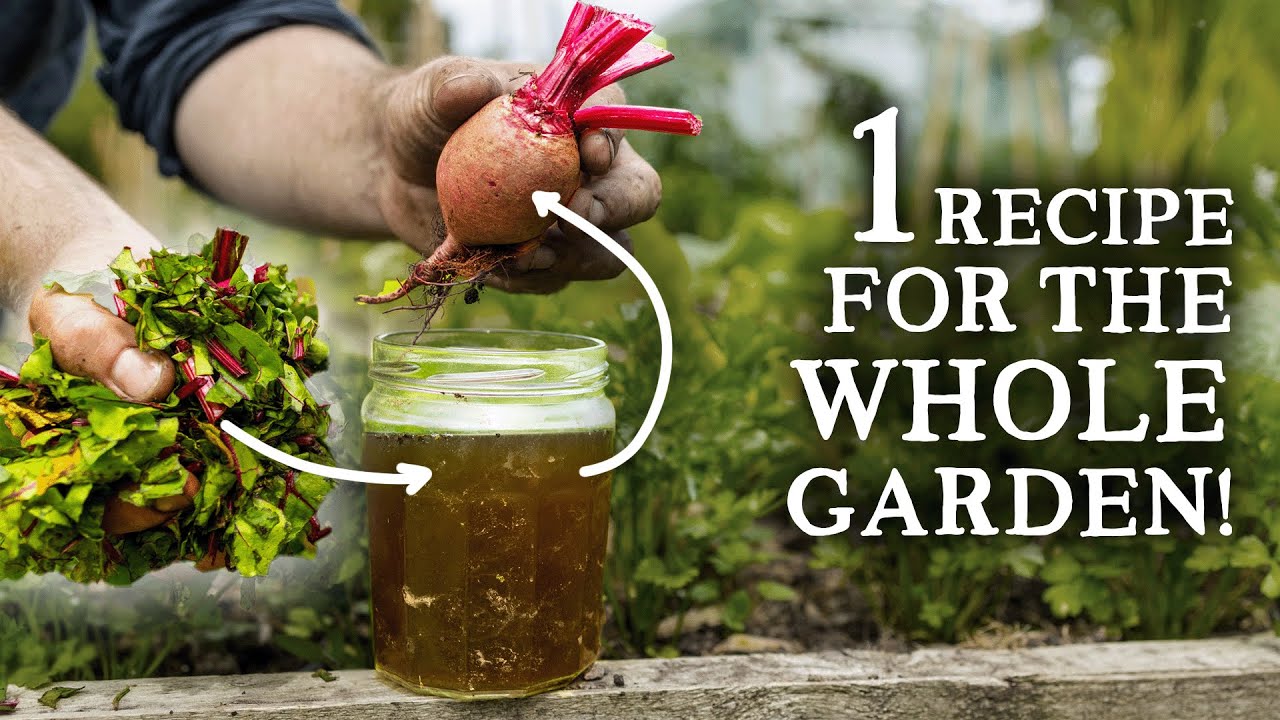 I discovered a simple liquid fertilizer to boost crop yields & health!