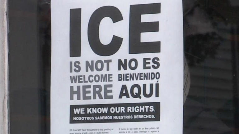 ‘Everyone is welcome’: Local businesses support immigrants with anti ...