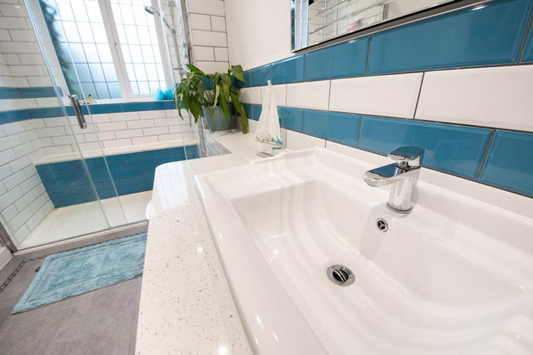 Expert shares simple methods to eliminate nightmare bathroom silverfish