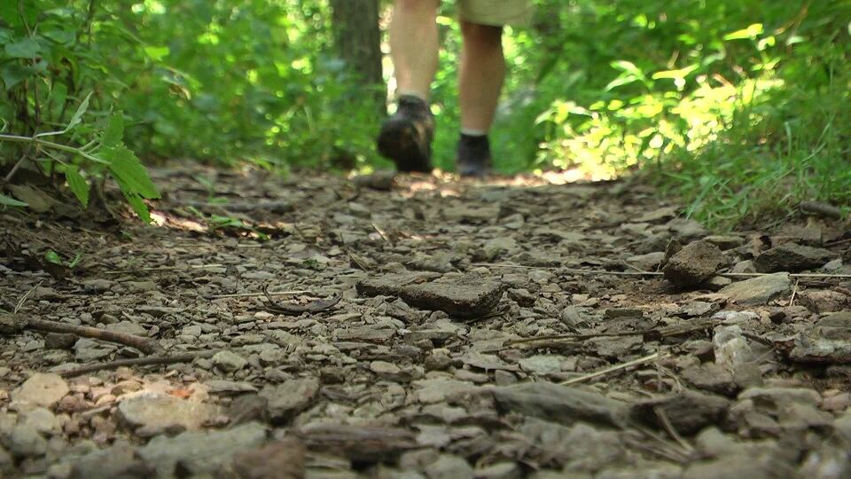 Man found unresponsive in Berlin woods