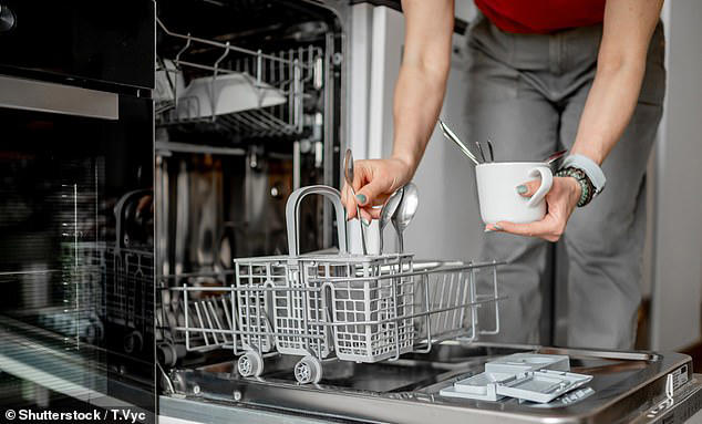 Can Crystal Be Put in Dishwasher: Essential Care Tips Revealed