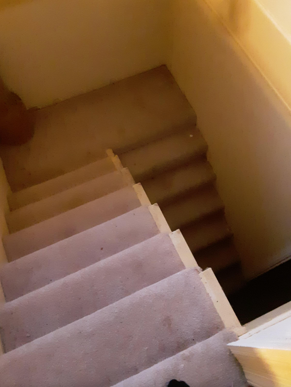 Carpeted staircase leading down, viewed from the top step, with walls on both sides