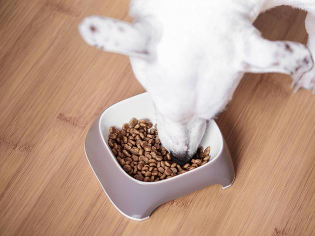 Hundefutter von Fressnapf, Lidl und Edeka im Test: Finger weg von 3 ...