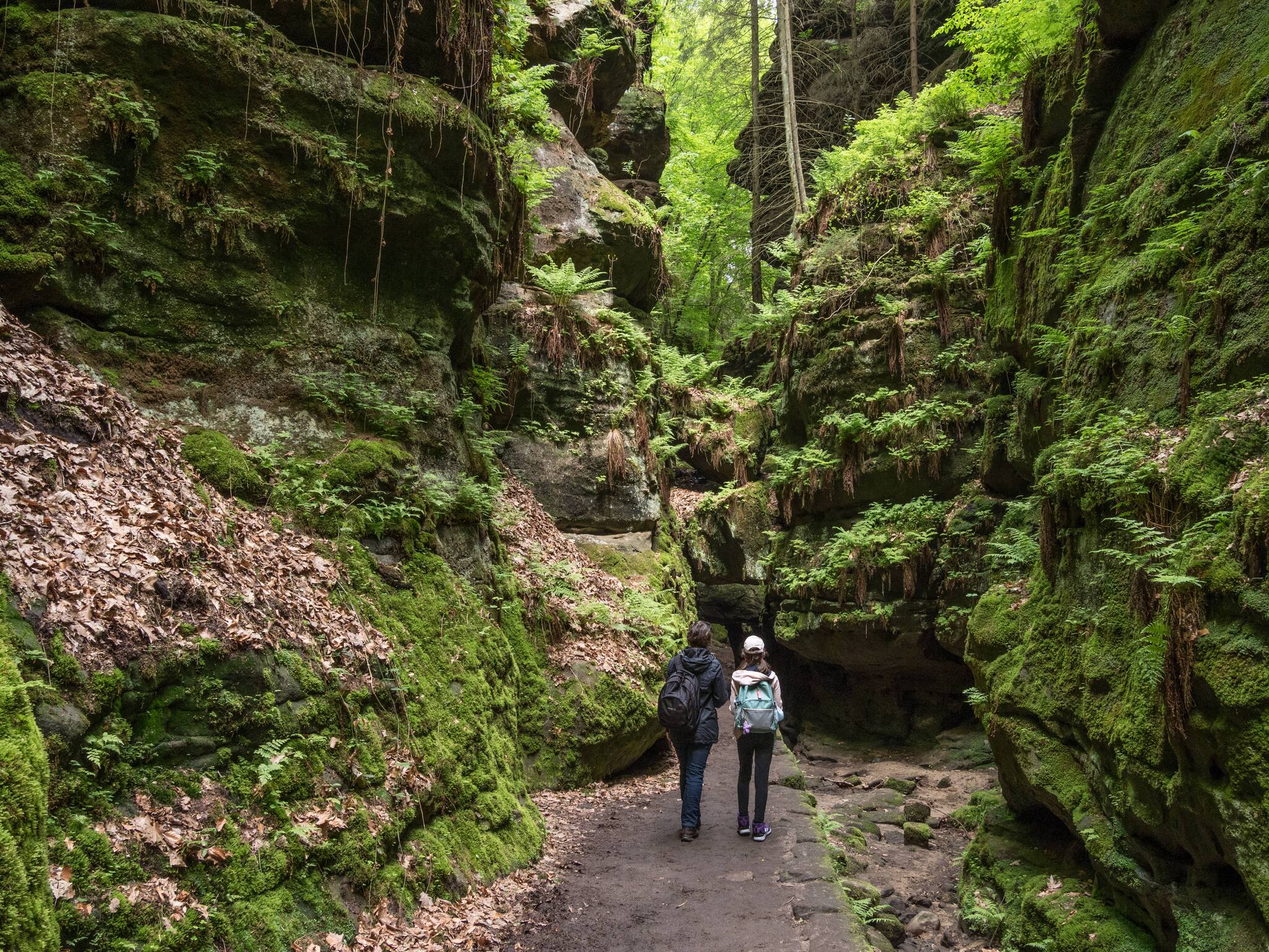 Lautsprecher Einbauset Für Renault Clio 2 - Passend Mit JBL Stage2 524, 13cm 2-Wege Koaxial-System