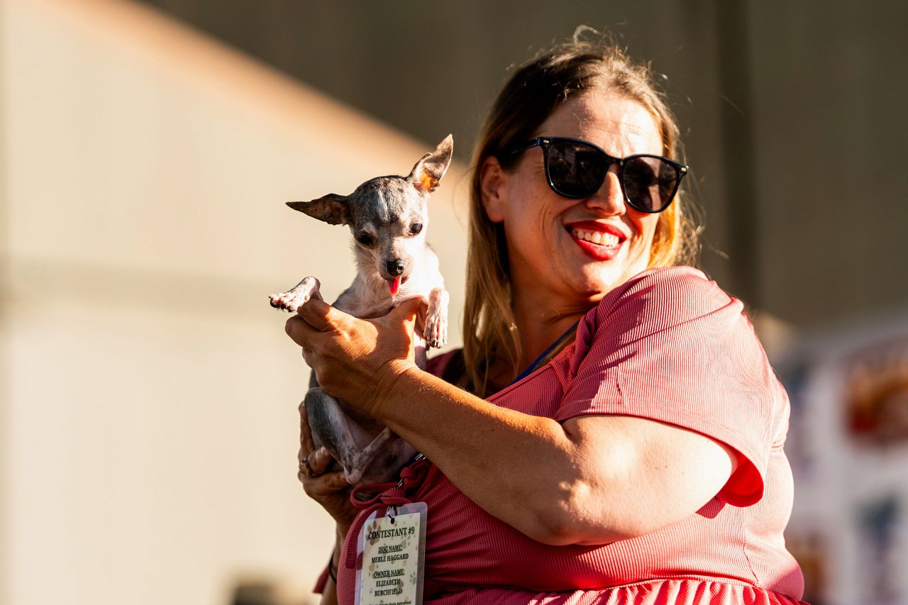 In Pictures French bulldog mix Petunia wins World's Ugliest Dog