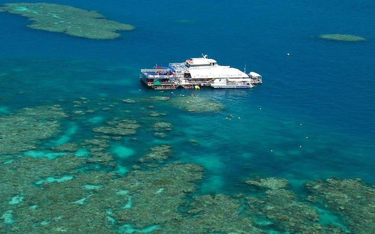 Visiting The Great Barrier Reef From Cairns: The Best Tours