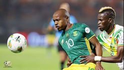 South Africa vs Cameroon, prediksi skor, berita tim, head to head dan lainnya 4 Januari 2026