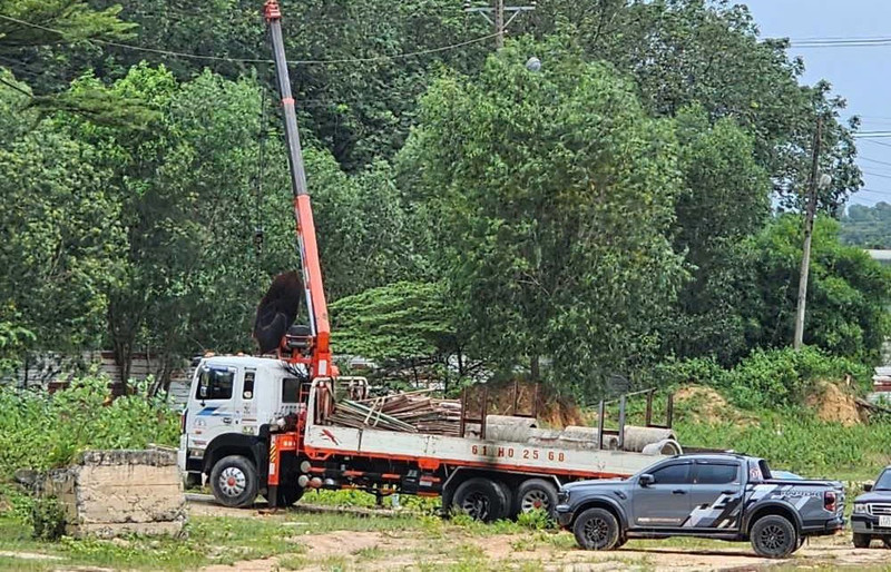 Cần cẩu va dây điện, 2 người thương vong