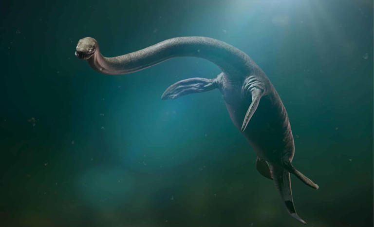 One-Of-A-Kind Jurassic Sea Creature With Enormously “Long Neck ...
