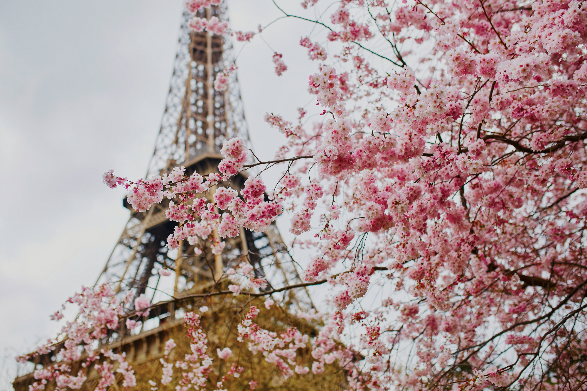 Spring, summer, fall, winter: These are the best places to visit in ...