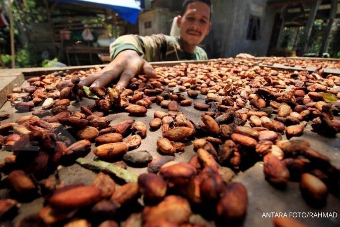 Tarif AS 19% Ancam Ekspor Coklat Indonesia