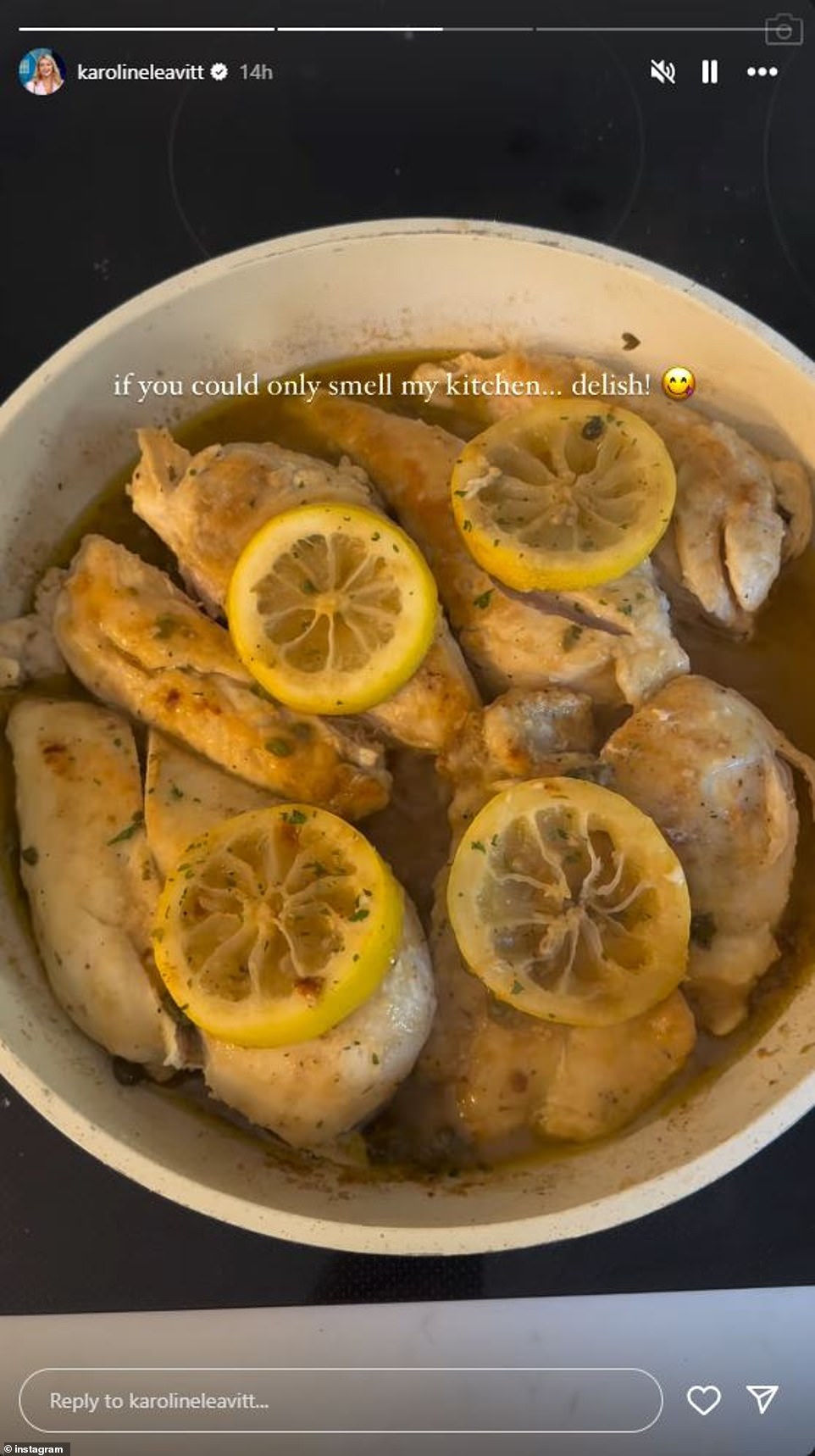 Karoline Leavitt shares glimpse into 'mom life'