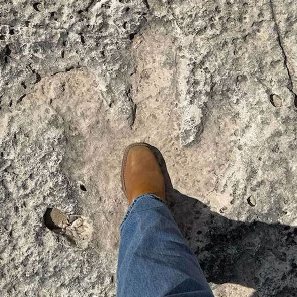 Dinosaur footprints discovered in Texas Hill Country after catastrophic