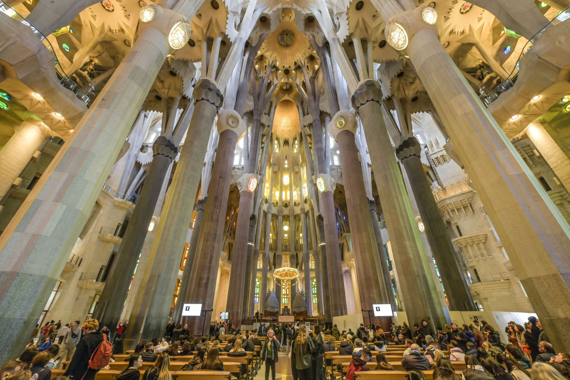 Where nature meets style: the art of biomorphism