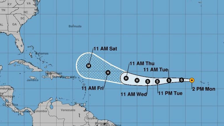 Tropical Storm Erin Forms: Will It Become A Major Hurricane? - gs5k8z5