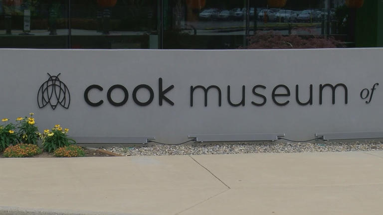 Decatur City Council approves resolution supporting expansion of Cook ...