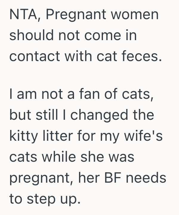 Why Can'T Pregnant Women Clean Cat Litter Boxes: Health Risks Explained