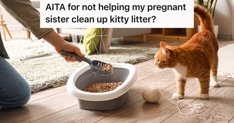 Why Can'T Pregnant Women Clean Cat Litter Boxes: Health Risks Explained