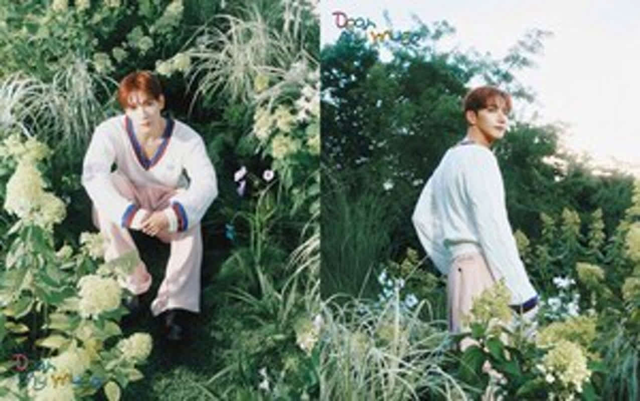 준케이 #39 Dear my muse #39 콘셉트 포토 첫선 가을 부르는 감성 준케이 #39 Dear my muse #39 콘셉트 포토 첫선 가을 부르는 감성
