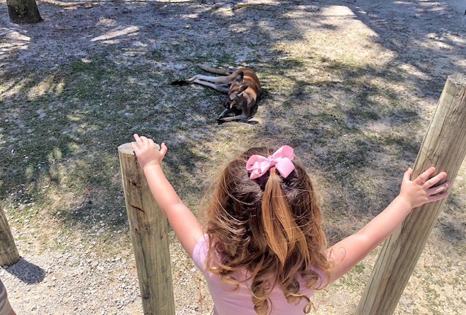 ucf-football-fanfest-taytay-dance-party-and-more-fun-things-to-do-in