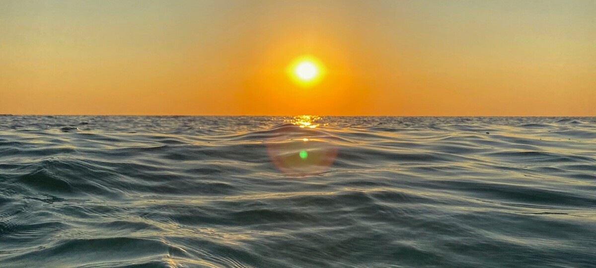 Featured Image