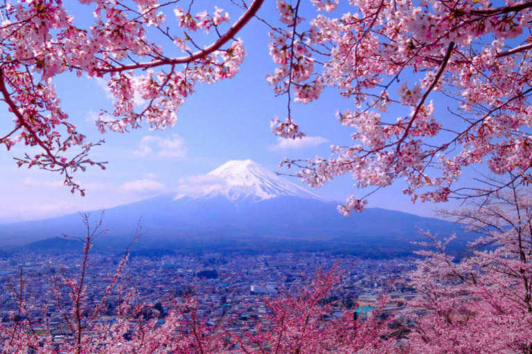 What is Japan famous for? The answers go far beyond sushi and temples