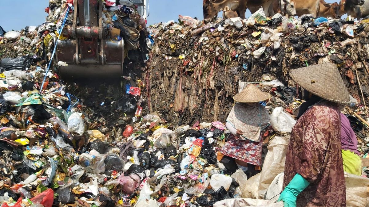 Perpres PSEL Dikritik, Pemulung Terancam Kehilangan Pekerjaan?