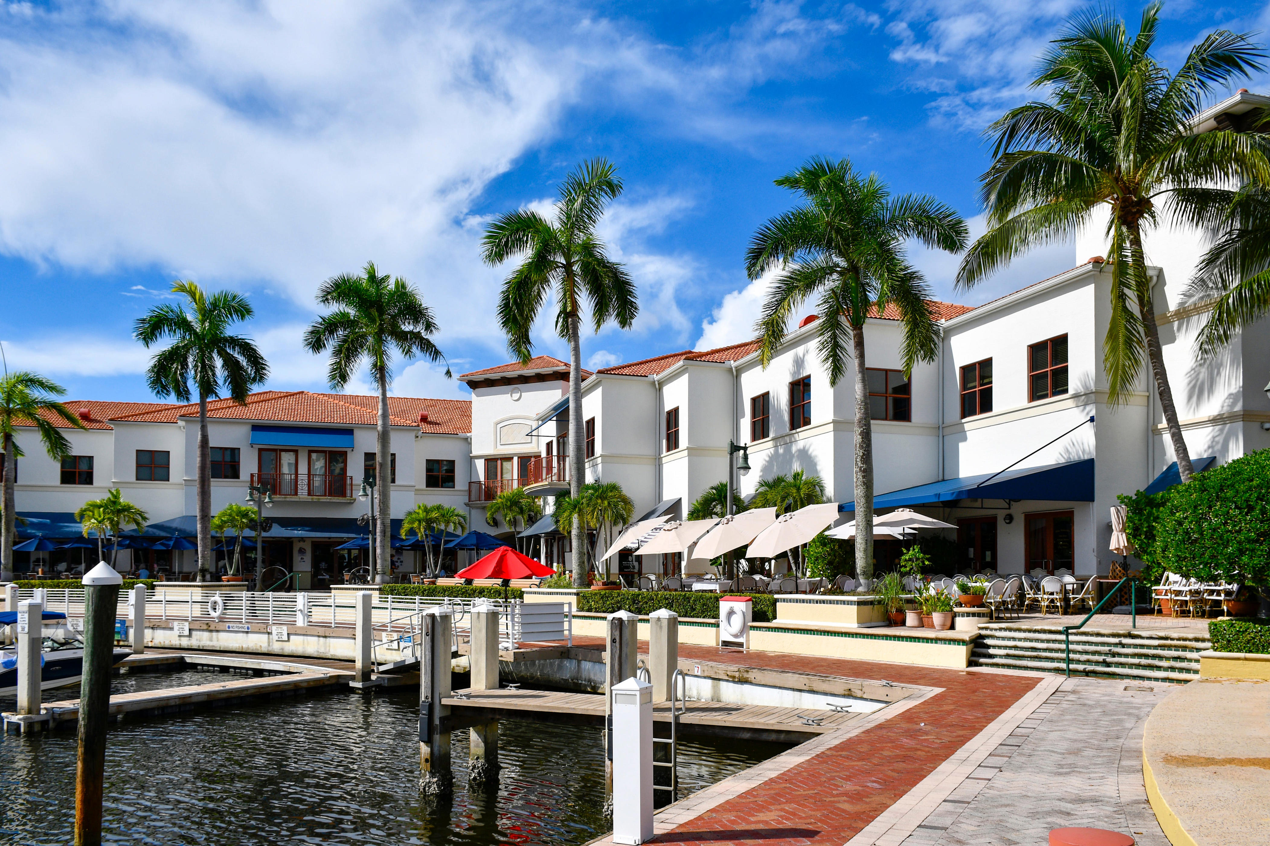 white houses lined with palm trees and blue skies