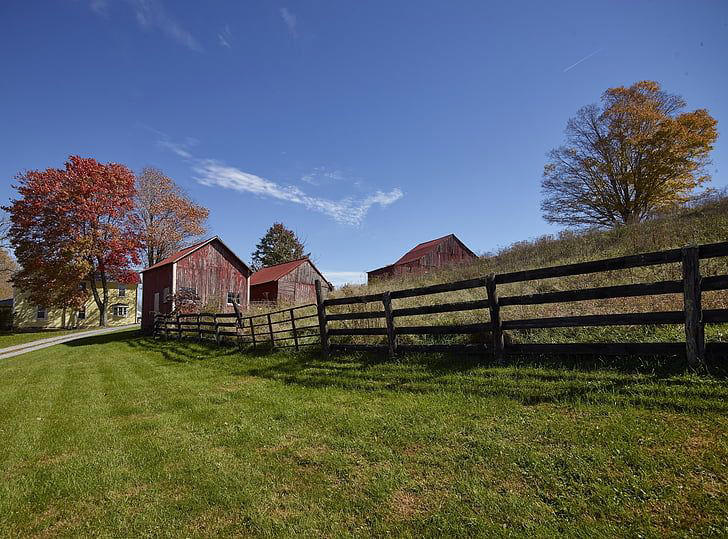 Virginia'S Latest Tragedy: Country Singer'S Mother'S Murder - bpp3h4j