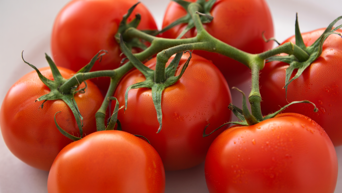 Die Tomate: Wie kann man sie mit diesen 8 Rezepten über den einfachen ...