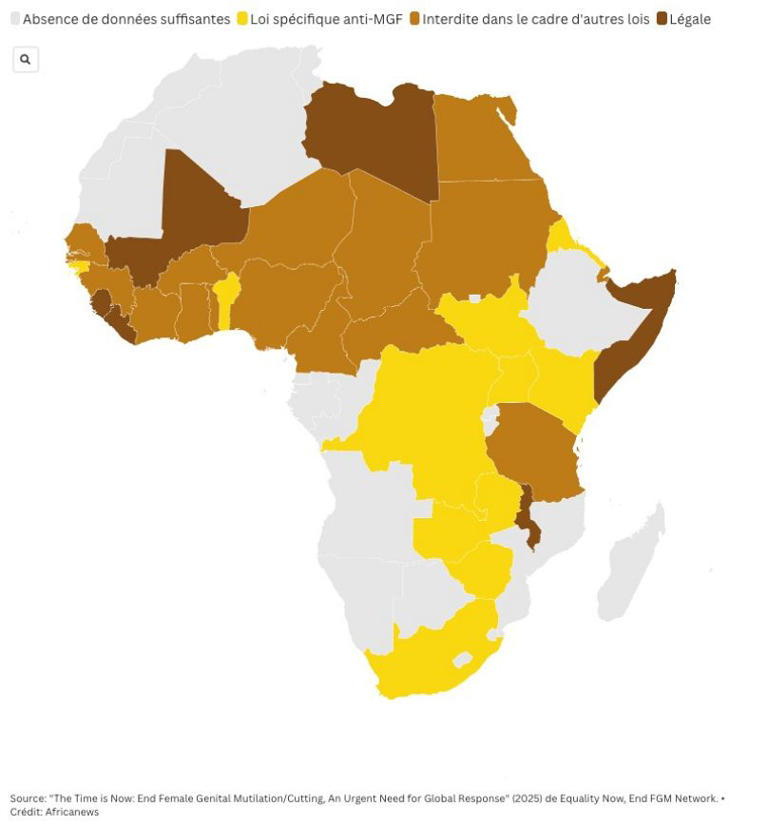 La carte montre le statut juridique actuel de la mutilation génitale féminine en Afrique, ainsi que les différentes manières sous lesquelles elle peut être interdite.. Anne Sandager