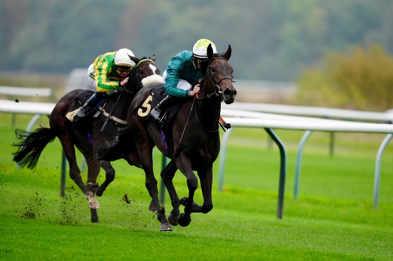 'Gamble on mare could pay off' – Jason Heavey's Wednesday horse racing tips