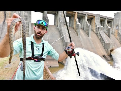Spillway fishing with a diamondback snake triggered non-stop strike action