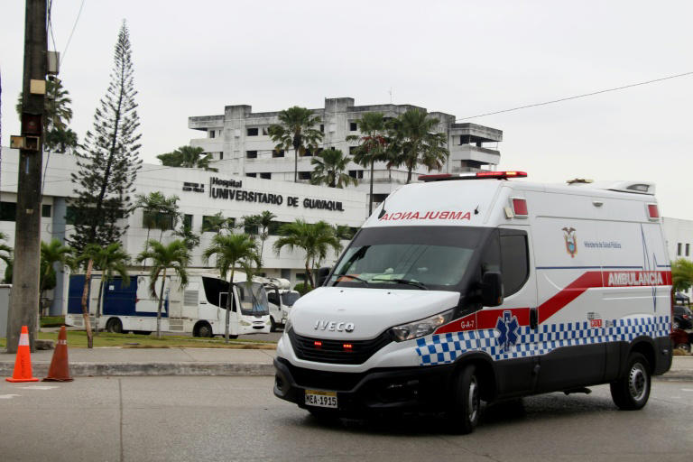 Heatwave scoops record month for ice cream maker