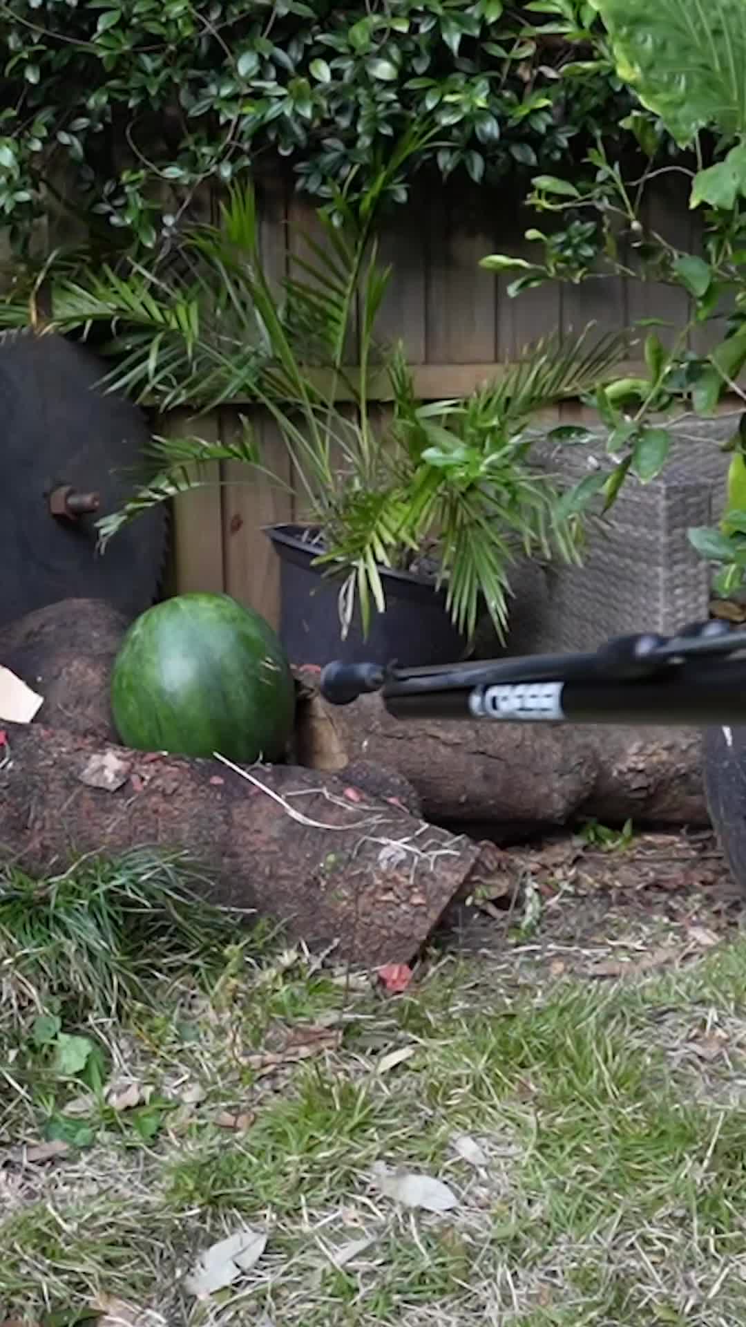 How an air spear could save you from sharks