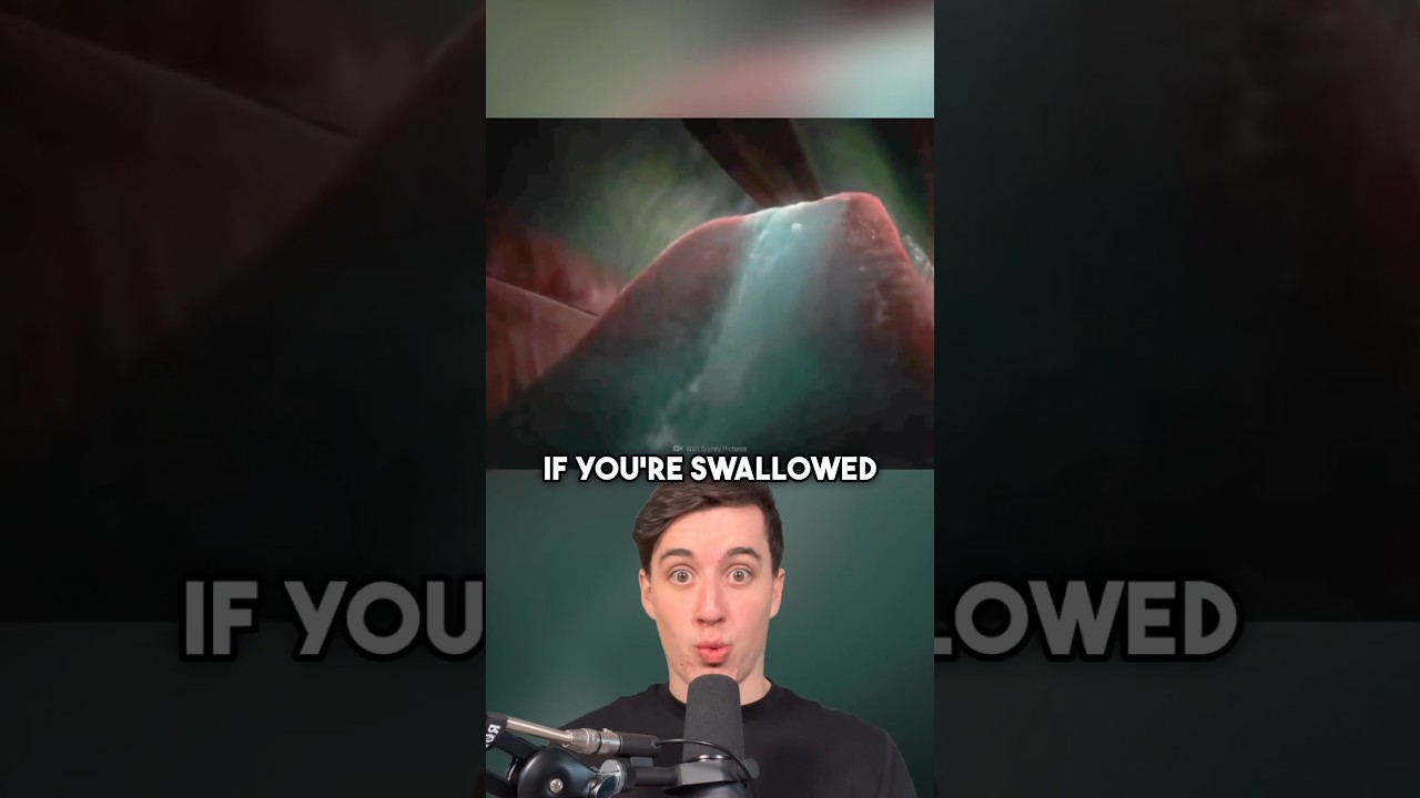 The scientific reality of being swallowed by a whale