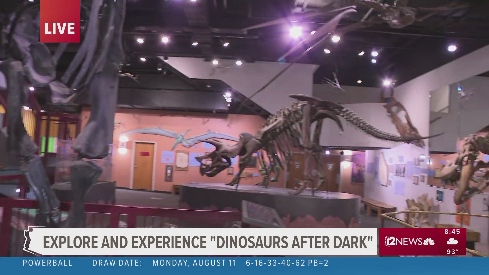'Dinosaurs after Dark: Explore the Arizona Museum of Natural History