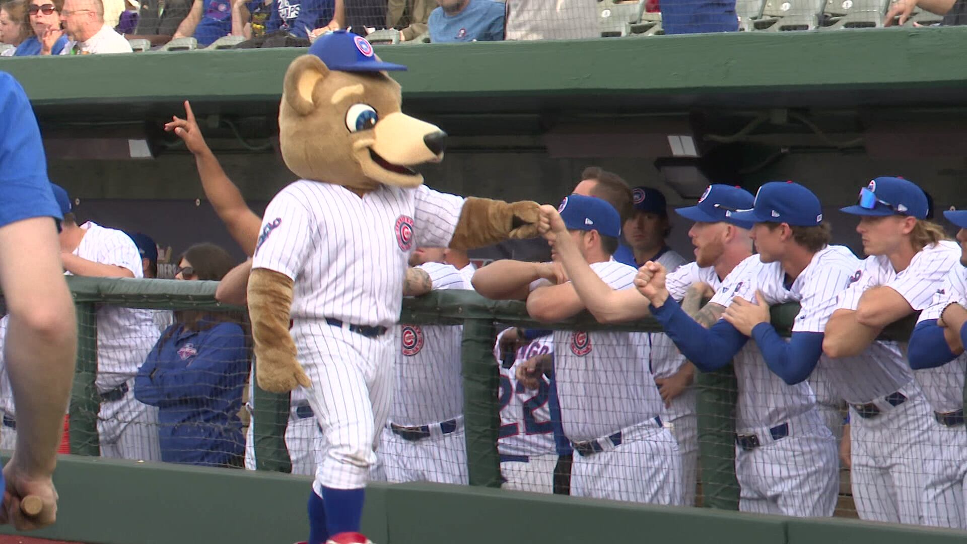 South Bend Cubs announce 2026 schedule