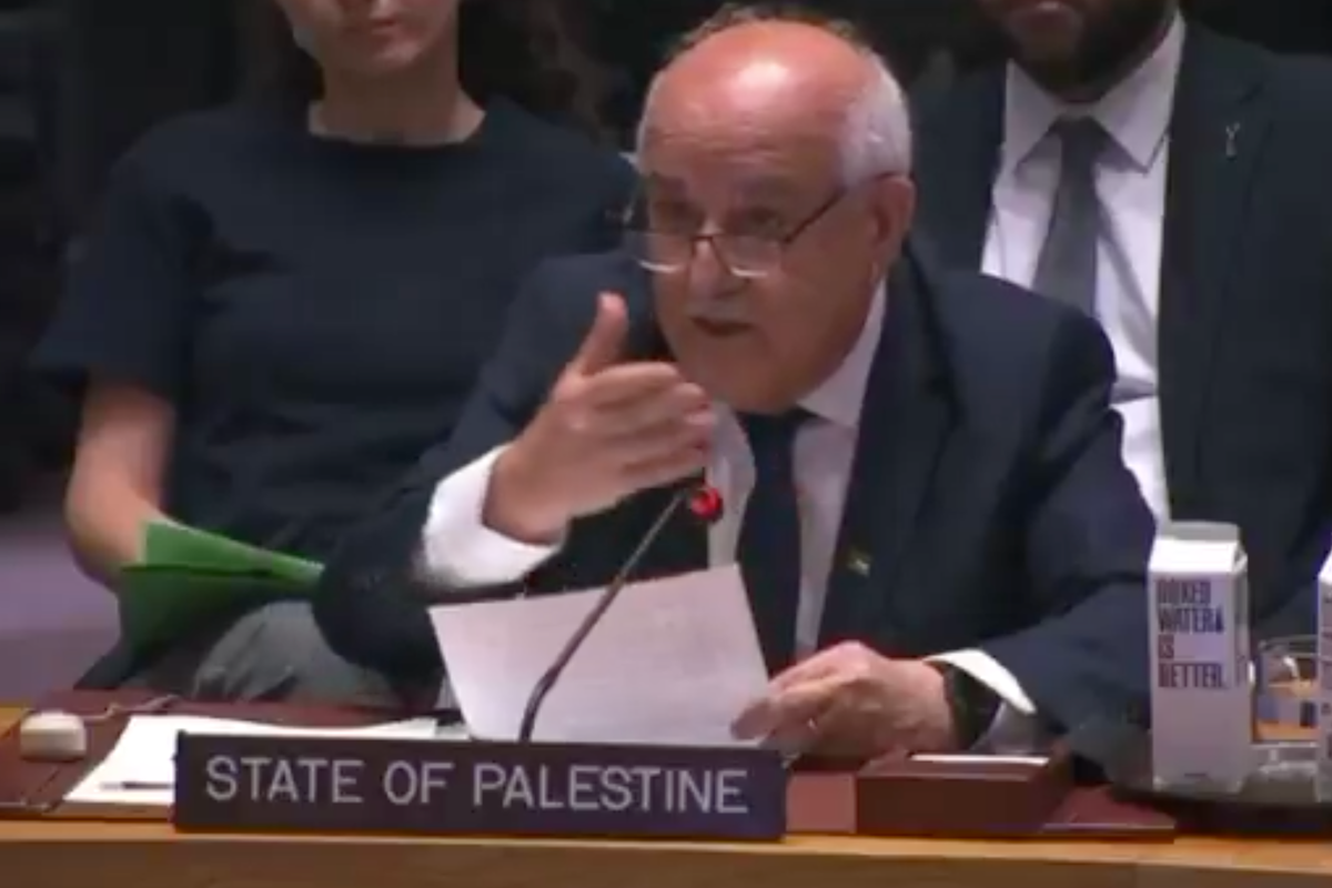 Palestine's UN ambassador invites Security Council to 'take 100 journalists' to 'verify what's happening' in Gaza