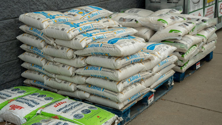 Bags of lawn fertilizer on pallets outside a home improvement store
