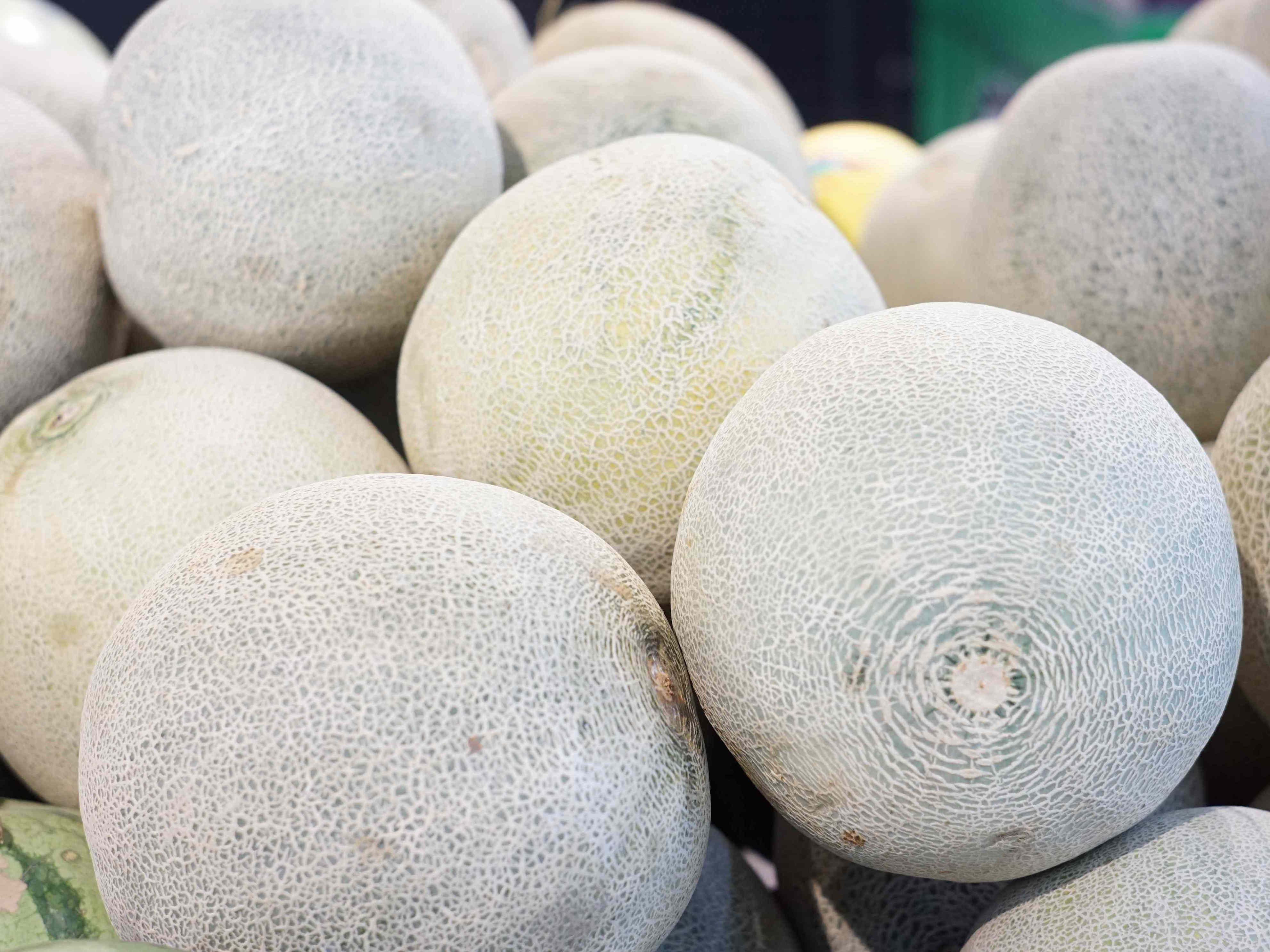 I Asked 4 Farmers How to Pick the Best Cantaloupe, And They All Said the Same Thing