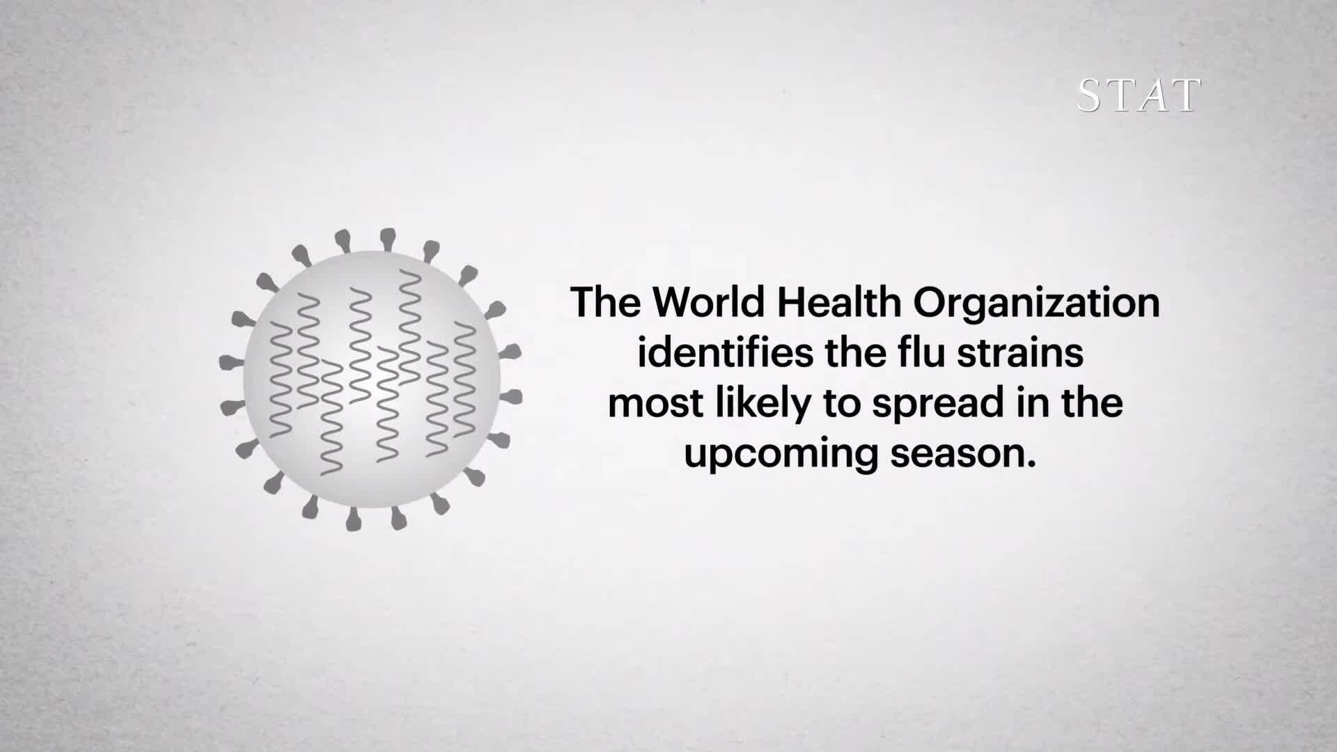 How Does the flu Vaccine Work?