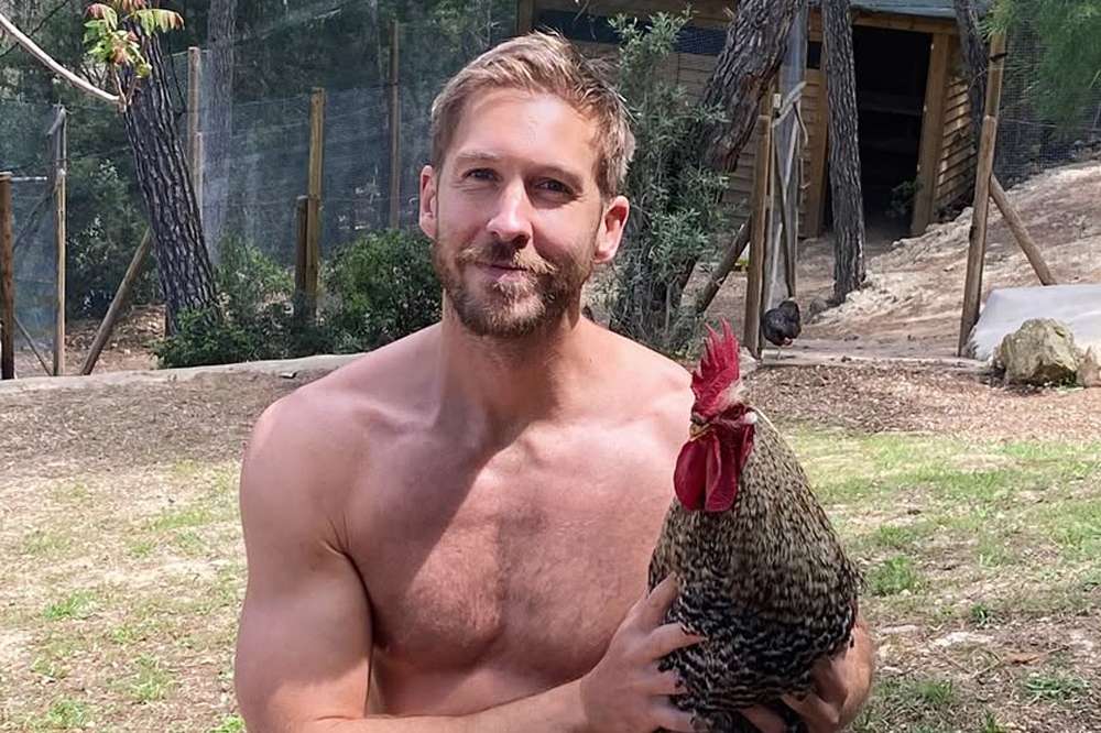 Calvin Harris Shares Pet Rooster He Raised from a Chick Was Killed by(00)