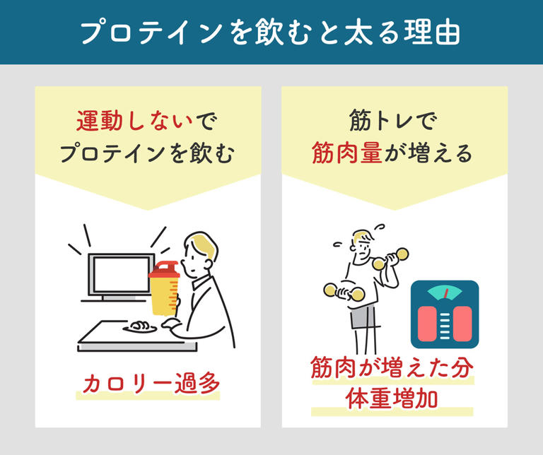 【結論】なぜ、プロテインを飲むと太るのか？