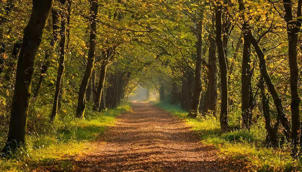 Your journey is yours, not for others to approve.