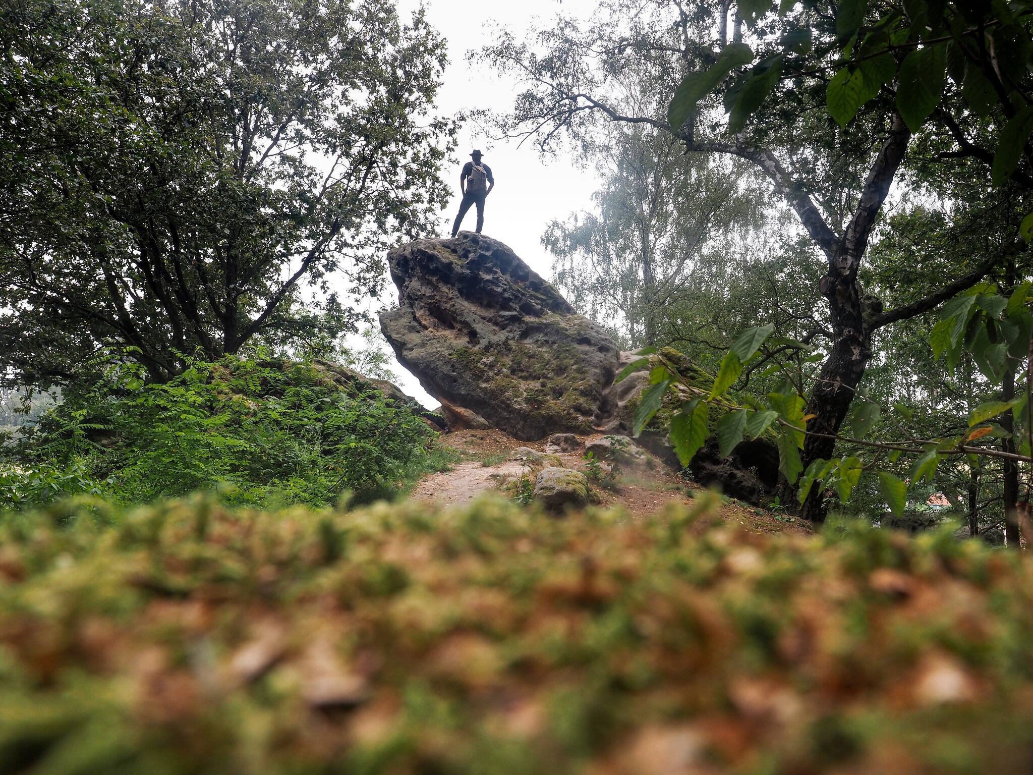 ist mariä himmelfahrt in würzburg ein feiertag